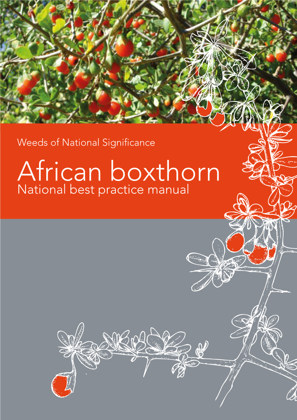 African Boxthorn National Best Practice Manual