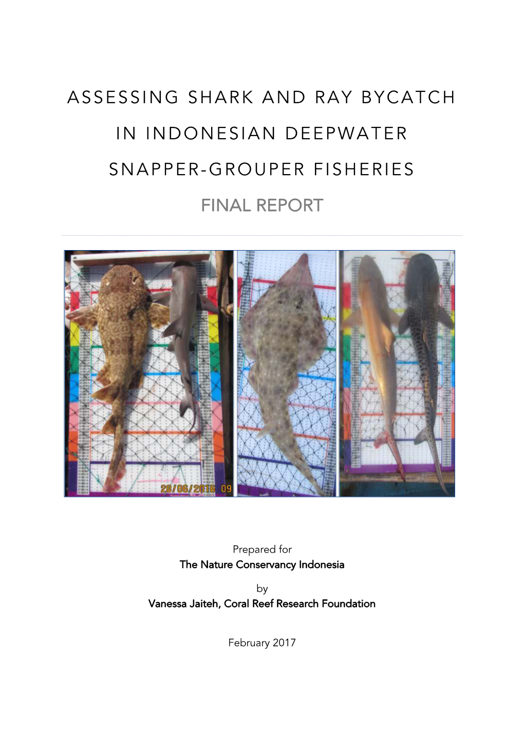 Assessing Shark and Ray Bycatch in Indonesian