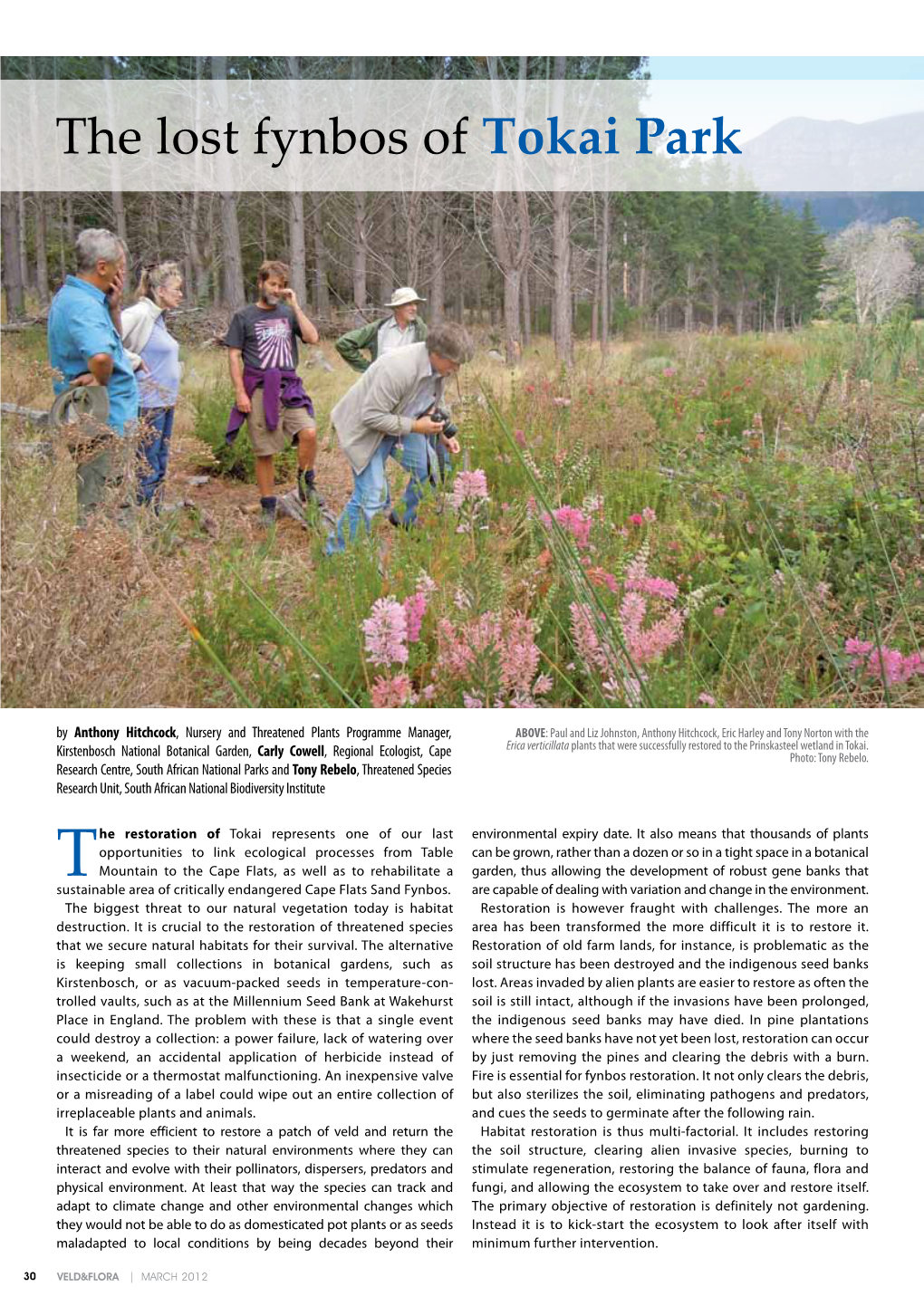 The Lost Fynbos of Tokai Park