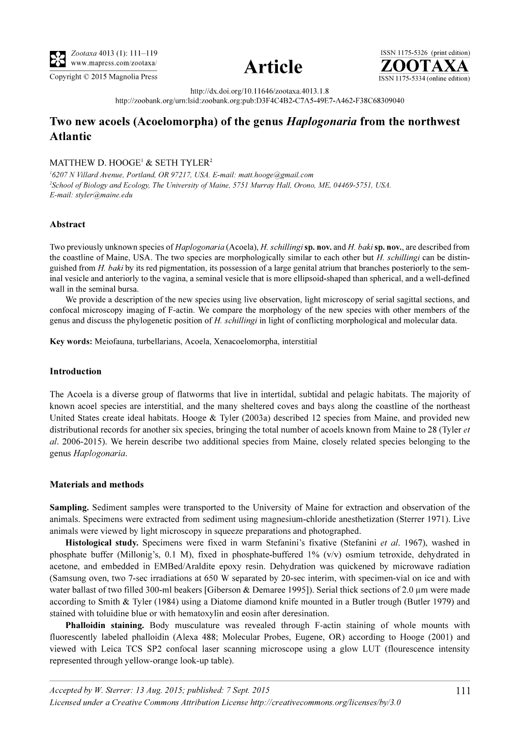 Two New Acoels (Acoelomorpha) of the Genus Haplogonaria from the Northwest Atlantic