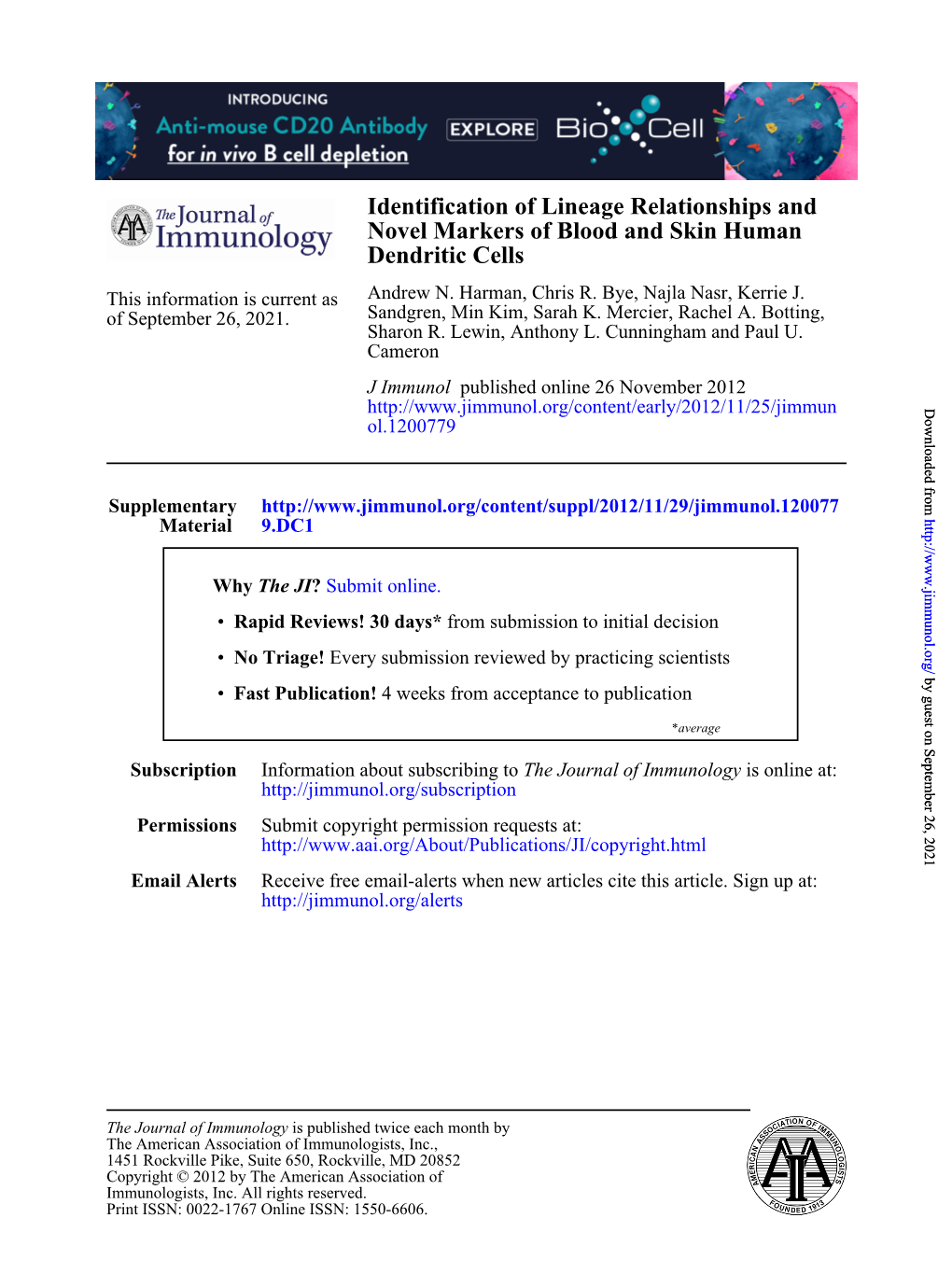 Identification of Lineage Relationships and Novel Markers of Blood and Skin Human Dendritic Cells