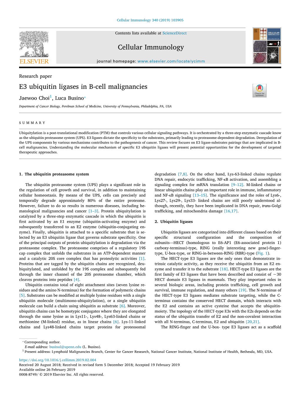 Cellular Immunology E3 Ubiquitin Ligases in B-Cell Malignancies