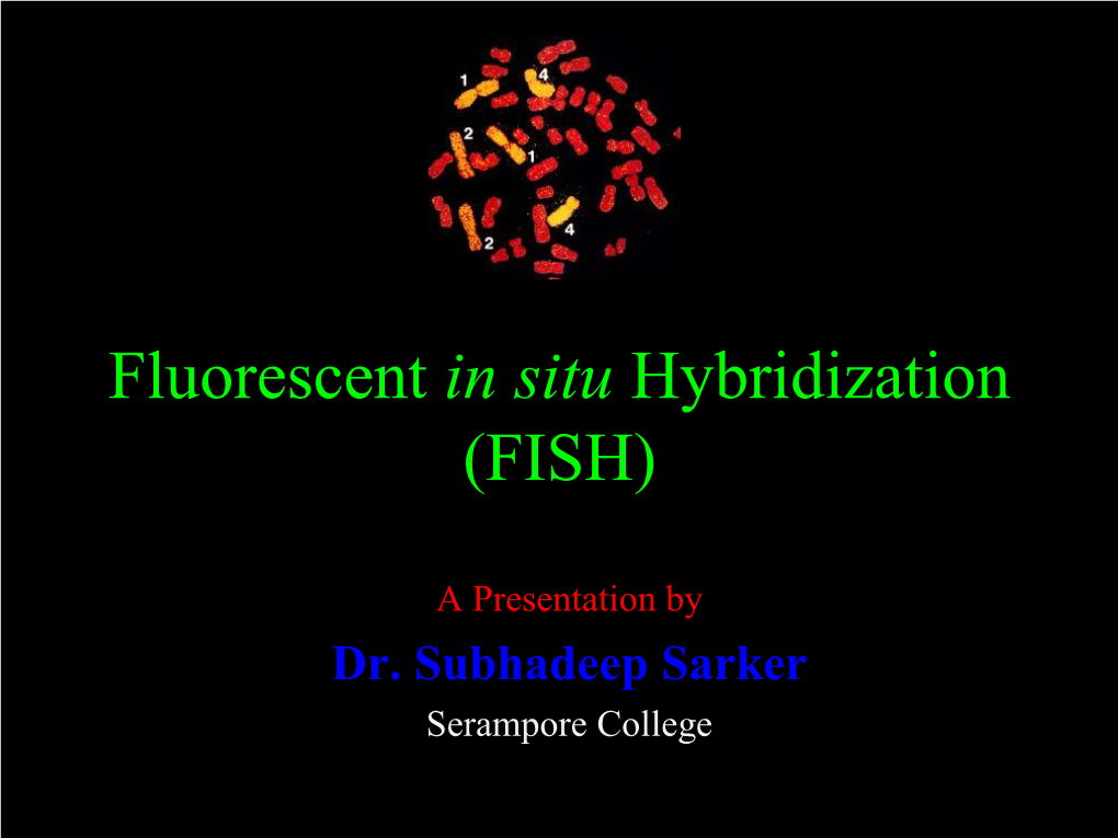 Fluorescent in Situ Hybridization (FISH)