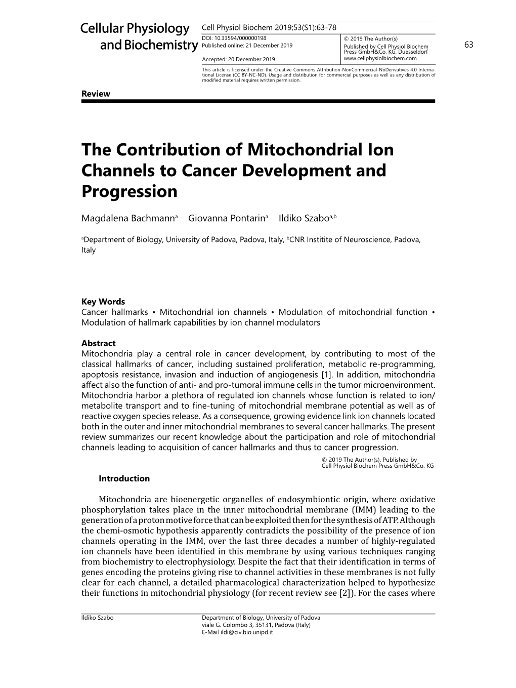 The Contribution of Mitochondrial Ion Channels to Cancer Development and Progression