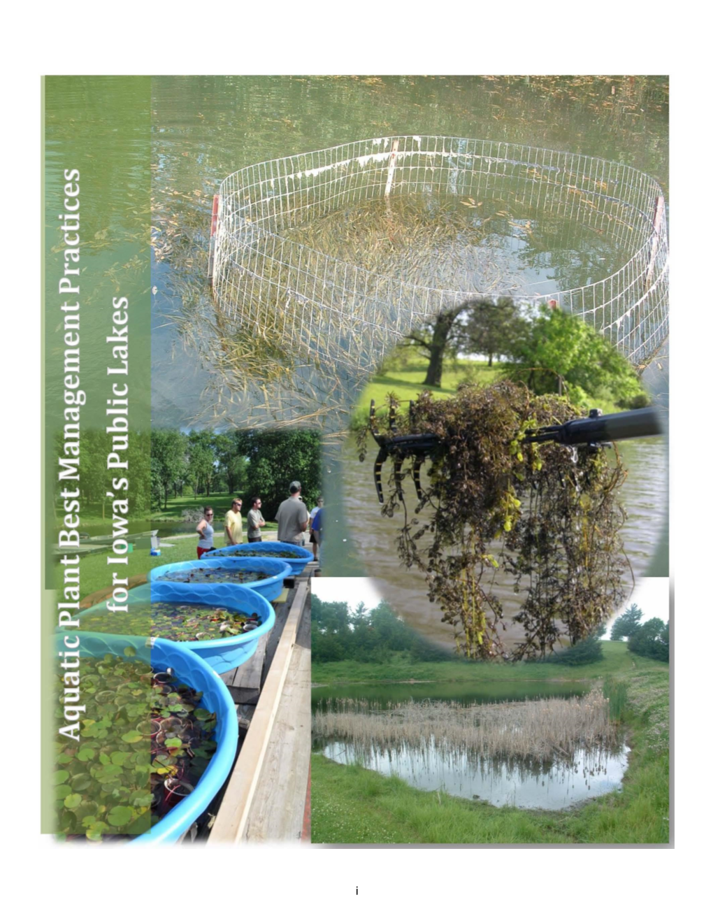 Aquatic Plant Best Management Practices for Iowa's Public Lakes