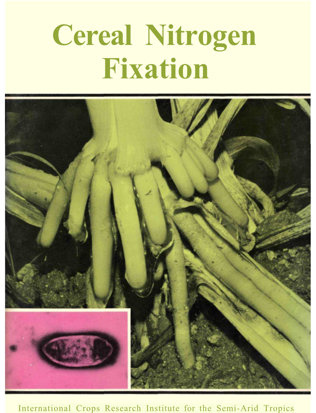 Cereal Nitrogen Fixation