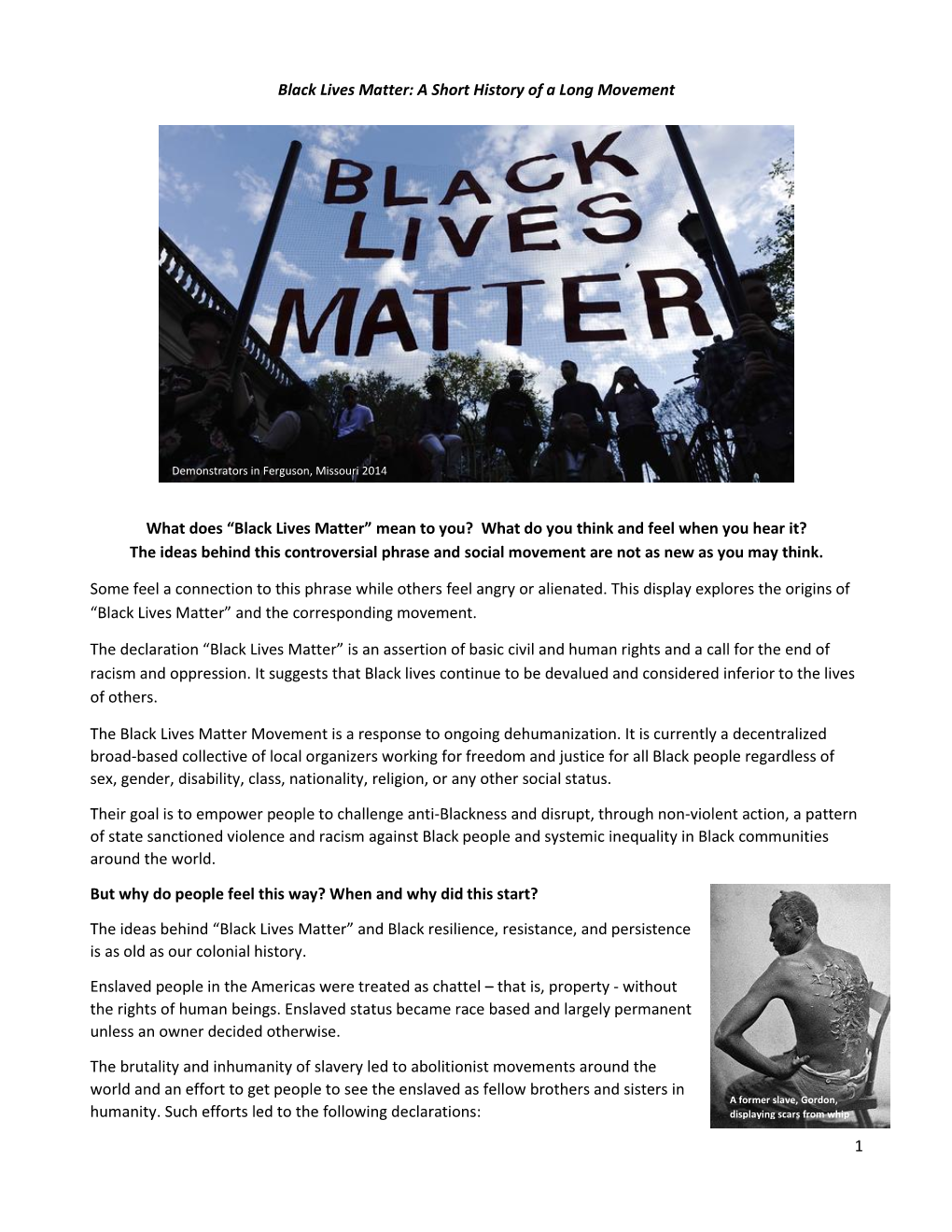1 Black Lives Matter: a Short History of a Long Movement What Does