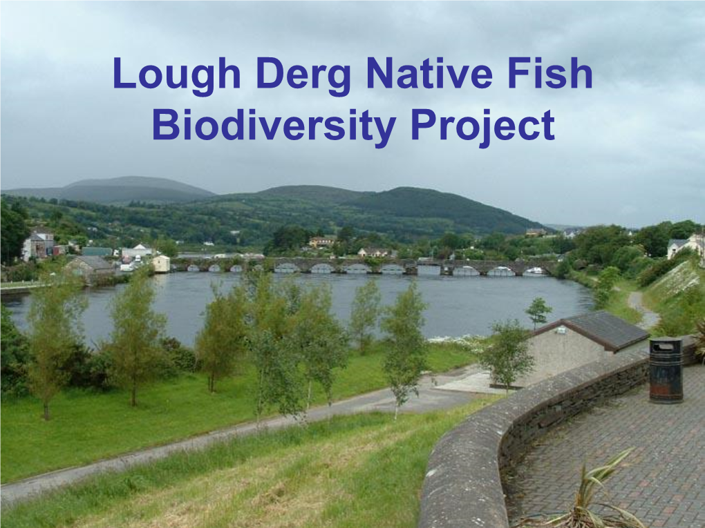 Lough Derg Native Fish Biodiversity Project Lough Derg: River Shannon