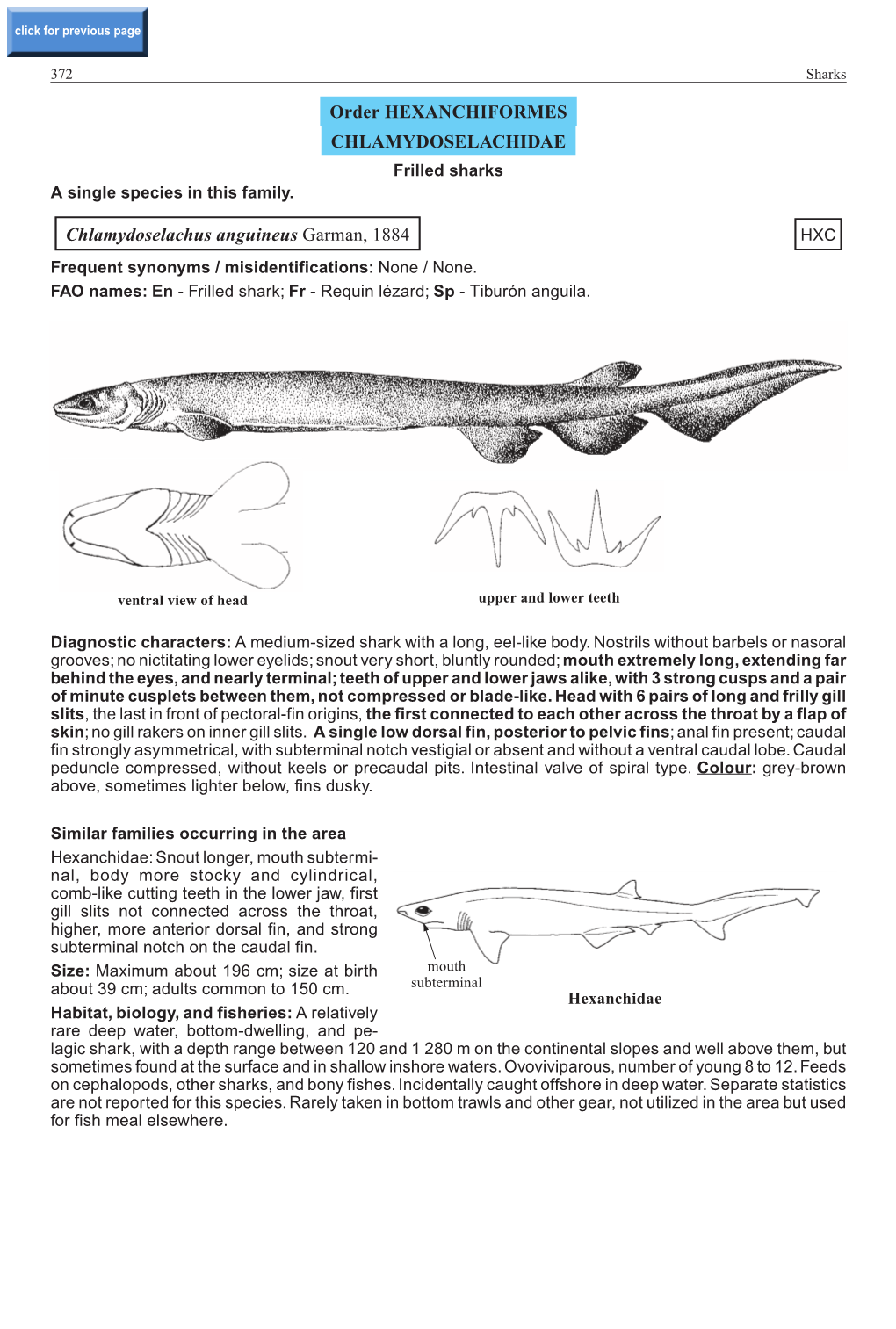 Order HEXANCHIFORMES CHLAMYDOSELACHIDAE Frilled Sharks a Single Species in This Family