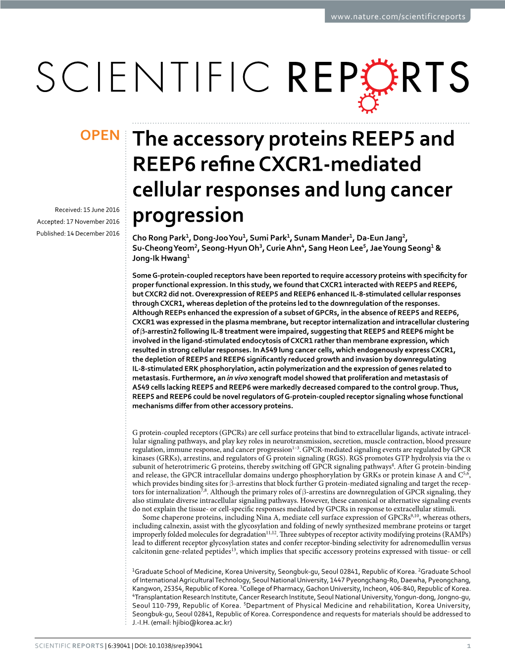 The Accessory Proteins REEP5 and REEP6 Refine CXCR1-Mediated