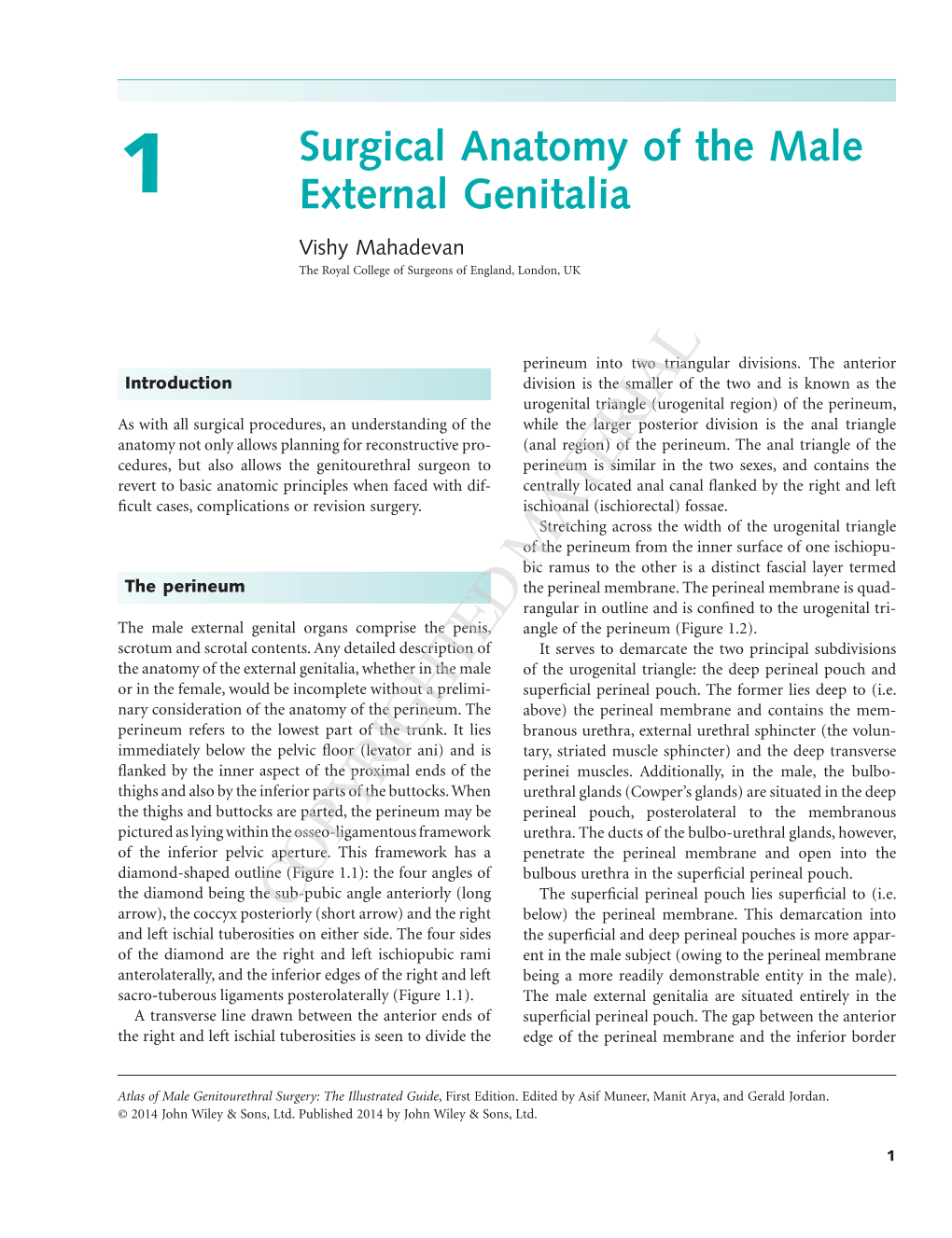 Surgical Anatomy of the Male External Genitalia 3 Perineal Pouch Is the Space Between the Perineal Mem- Skin of the Thigh and Pubic Region