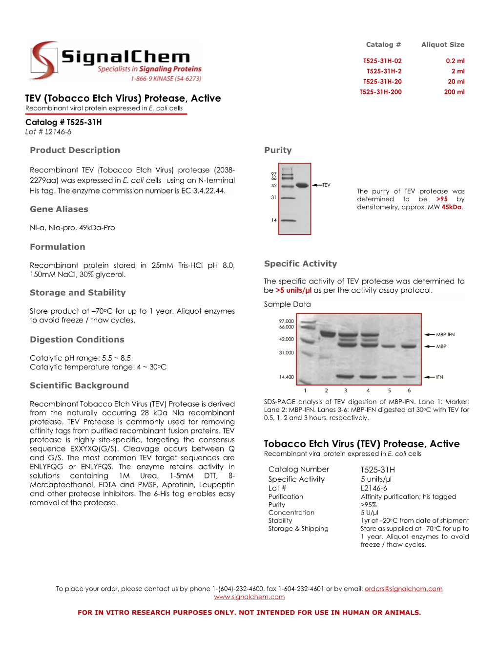 TEV (Tobacco Etch Virus) Protease, Active Recombinant Viral Protein Expressed in E