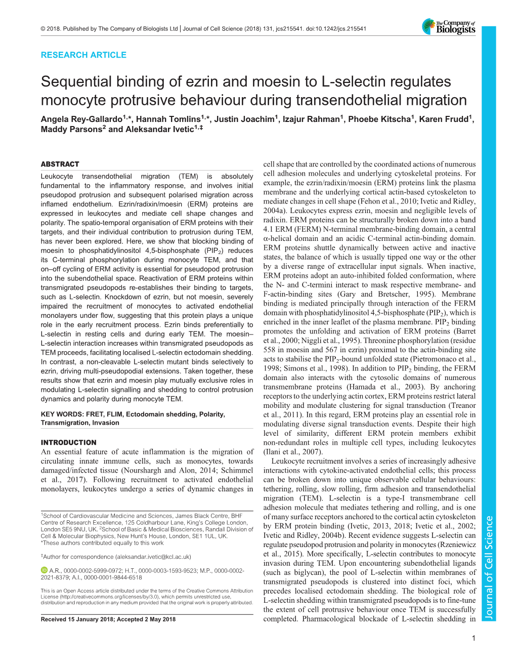 Sequential Binding of Ezrin and Moesin to L-Selectin Regulates