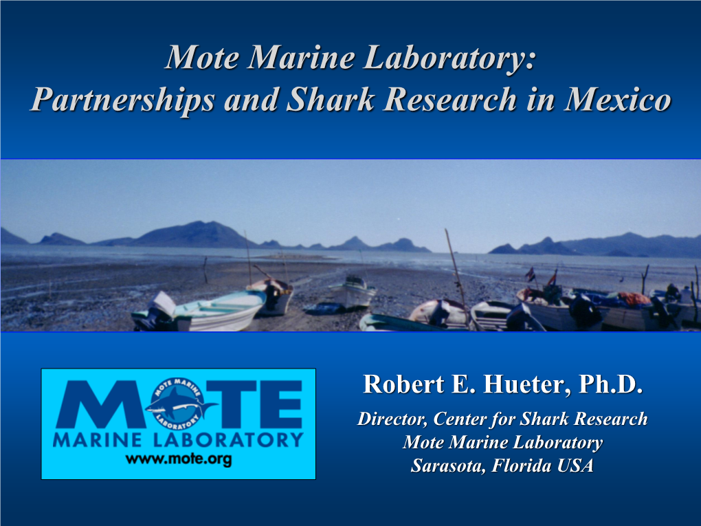 Mote Marine Laboratory: Partnerships and Shark Research in Mexico