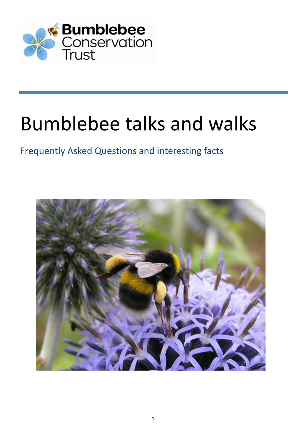 Bumblebee Talks and Walks