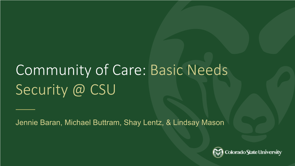 Basic Needs Security @ CSU