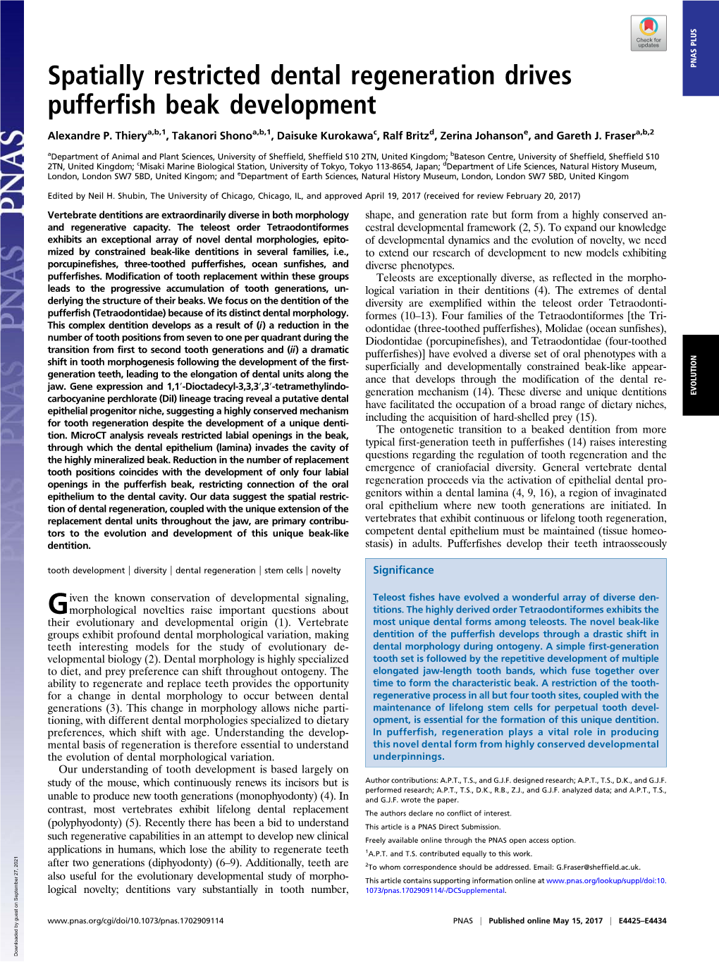 Spatially Restricted Dental Regeneration Drives Pufferfish Beak Development