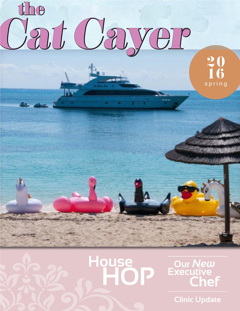 The Cat Cayer 20 16 Spring