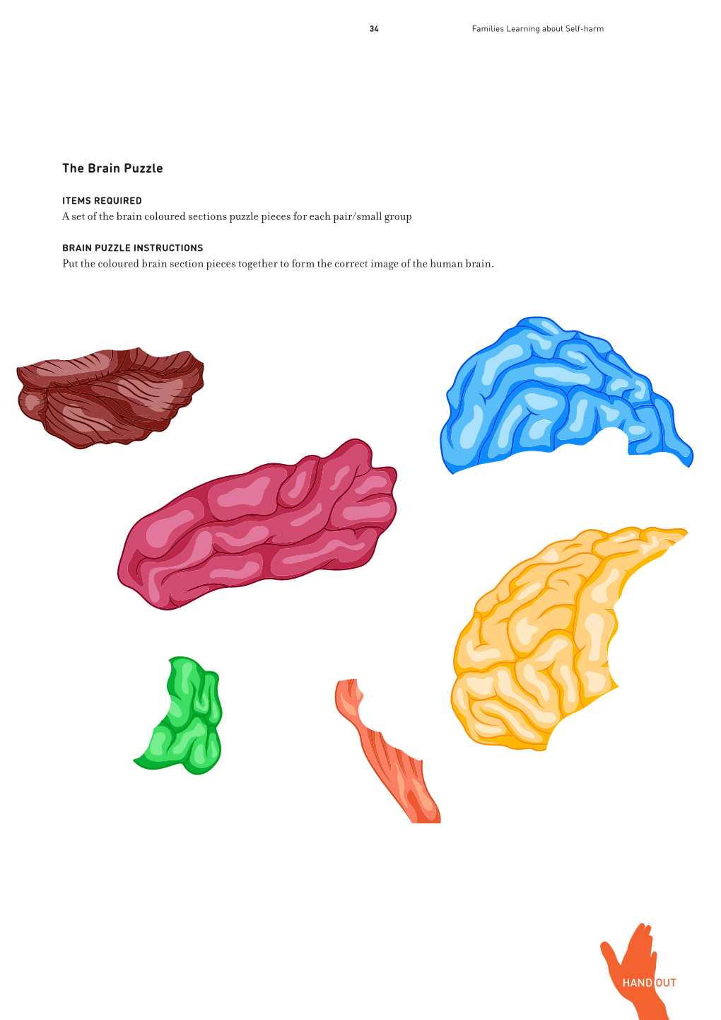 The Brain Puzzle a Set of the Brain Coloured Sections Puzzle Pieces For