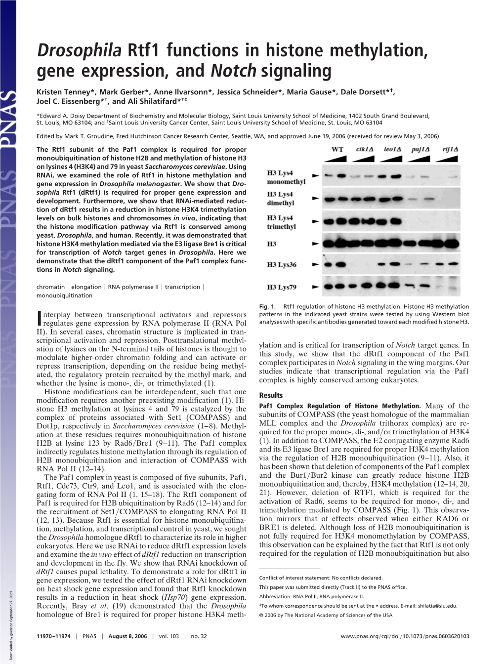 Drosophila Rtf1 Functions in Histone Methylation, Gene Expression, and Notch Signaling