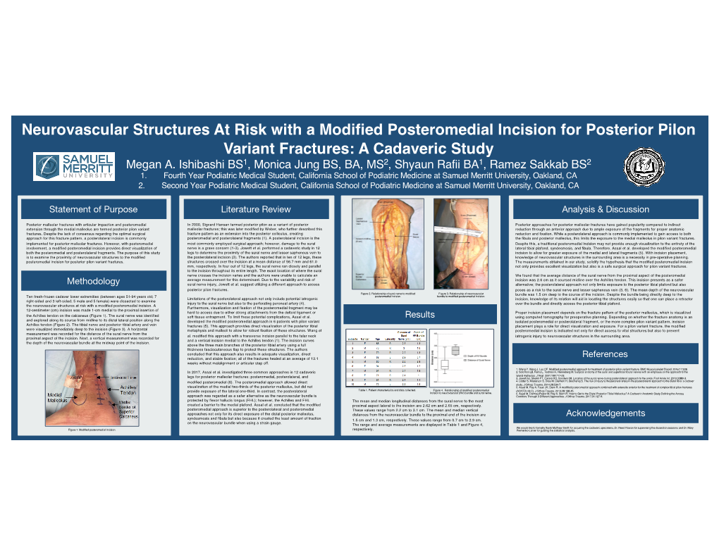 Neurovascular Structures at Risk with a Modified Posteromedial Incision for Posterior Pilon Variant Fractures: a Cadaveric Study Megan A