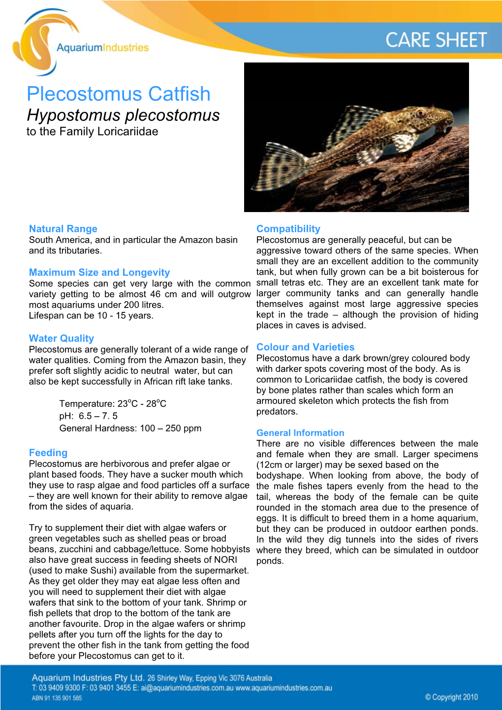 Plecostomus Catfish Hypostomus Plecostomus to the Family Loricariidae