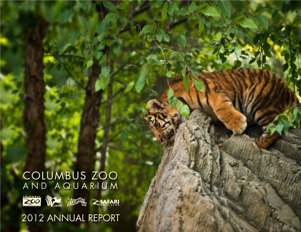 CZA 2012 ANNUAL REPORT Mar 2014