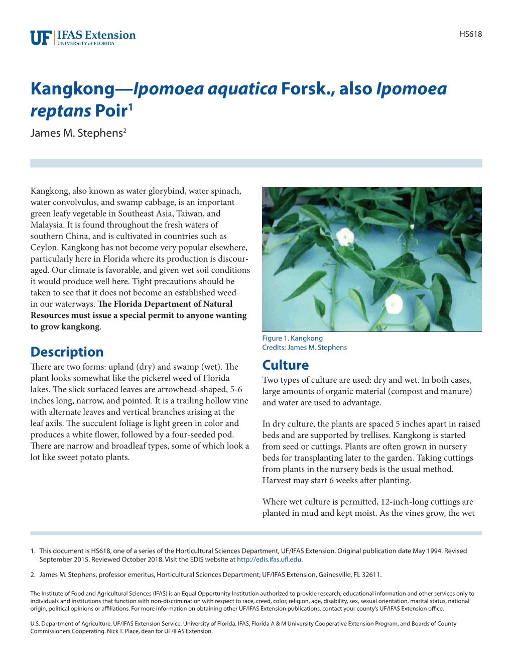 Kangkong—Ipomoea Aquatica Forsk., Also Ipomoea Reptans Poir1 James M