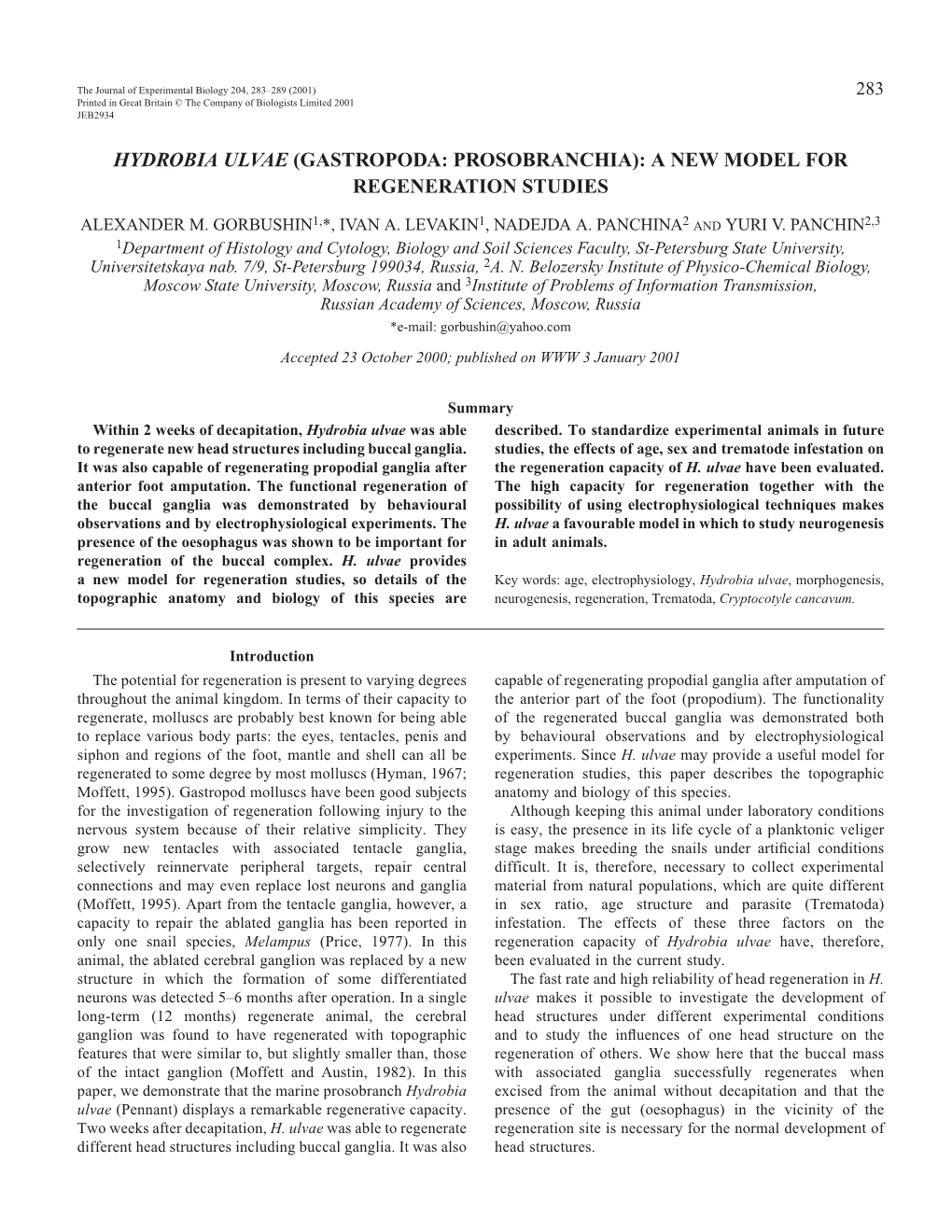 Hydrobia Ulvae (Gastropoda: Prosobranchia): a New Model for Regeneration Studies