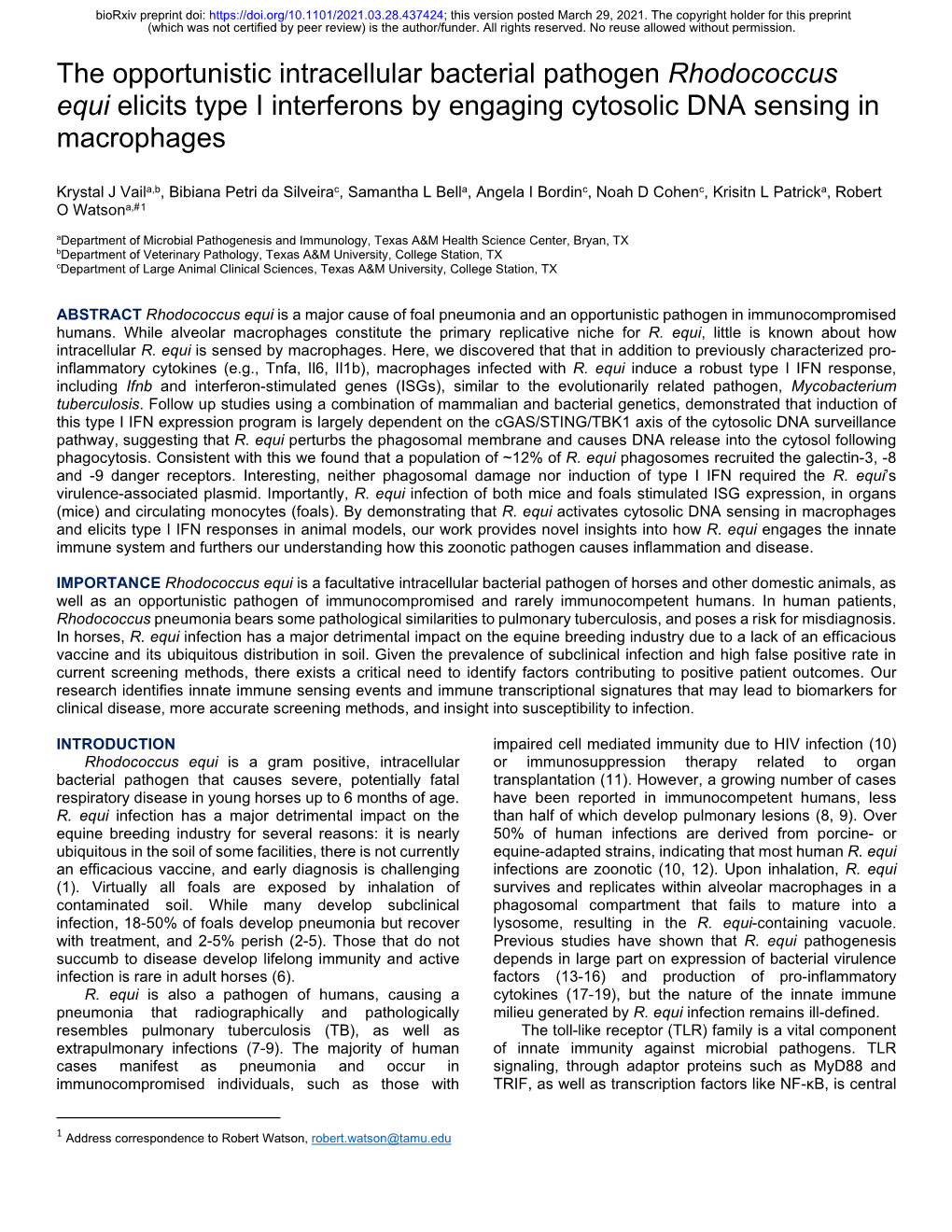 The Opportunistic Intracellular Bacterial Pathogen Rhodococcus Equi Elicits Type I Interferons by Engaging Cytosolic DNA Sensing in Macrophages