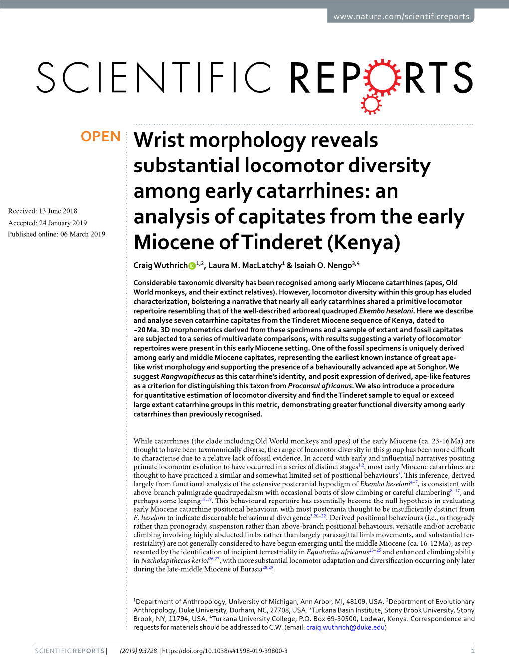 Wrist Morphology Reveals Substantial Locomotor Diversity Among Early