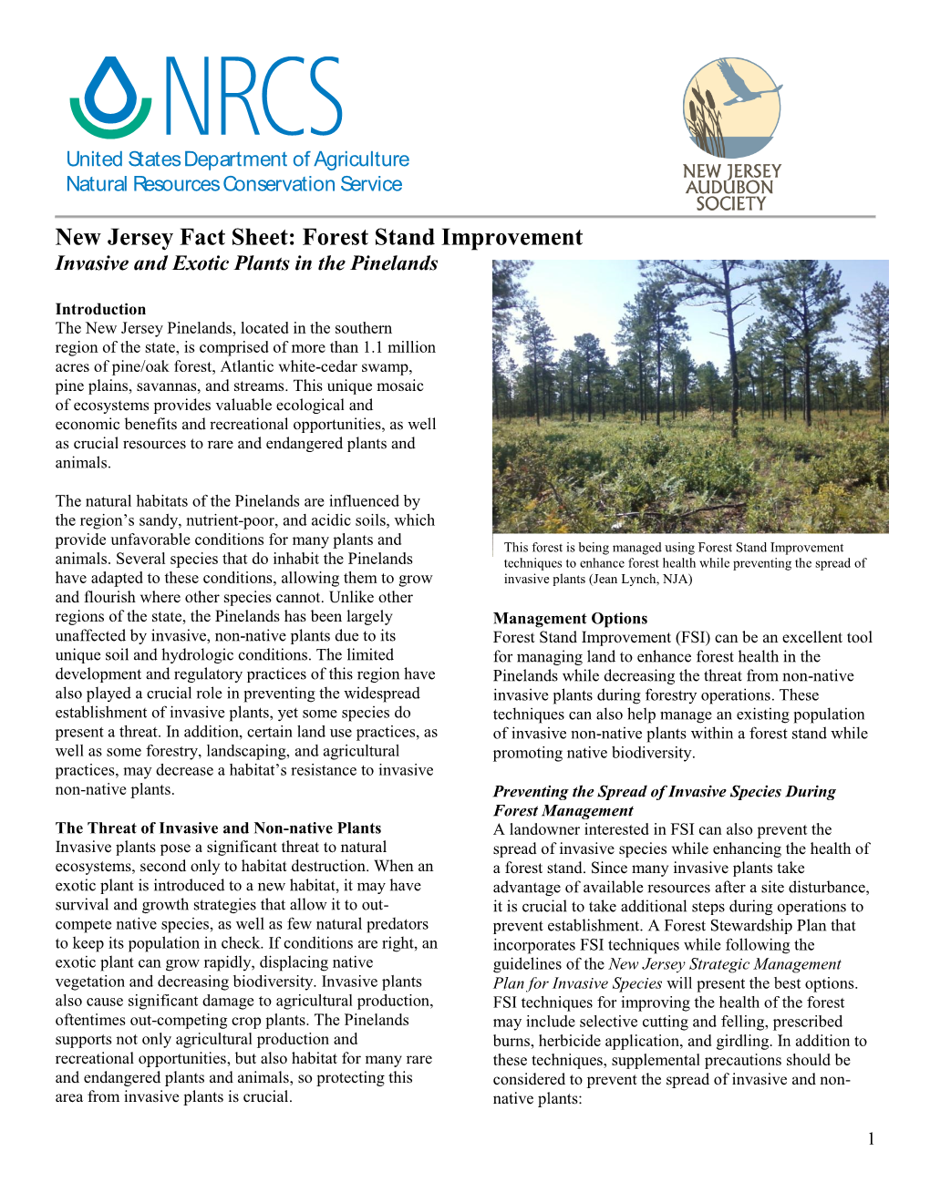 New Jersey Fact Sheet: Forest Stand Improvement Invasive and Exotic Plants in the Pinelands