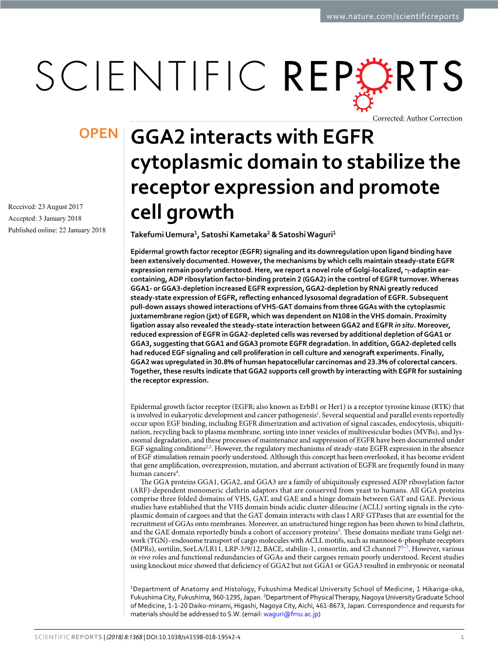 GGA2 Interacts with EGFR Cytoplasmic Domain to Stabilize The