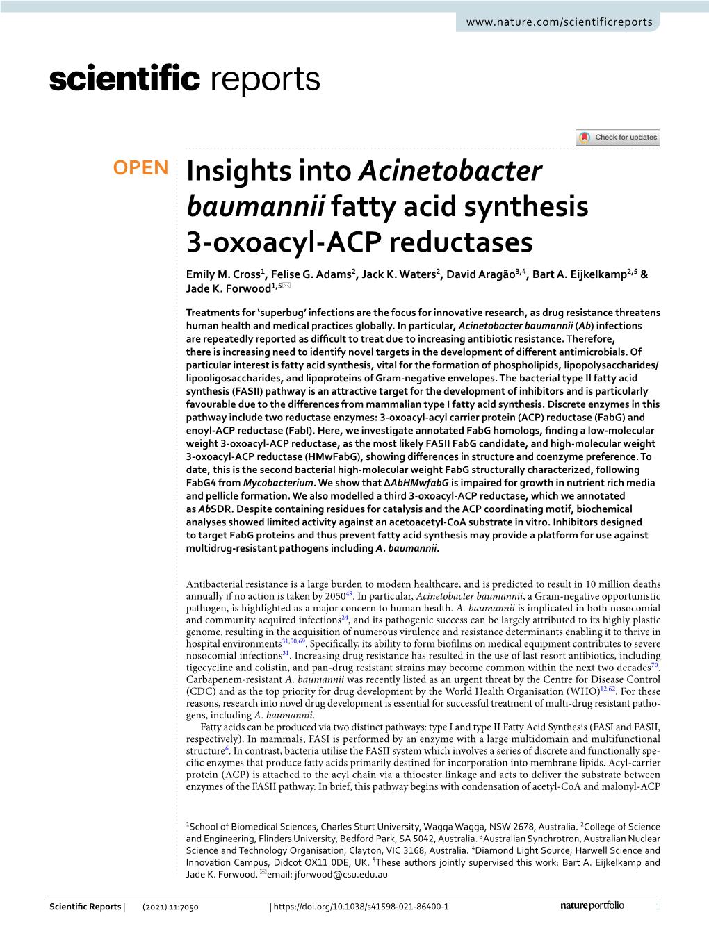 Insights Into Acinetobacter Baumannii Fatty Acid Synthesis 3-Oxoacyl-ACP