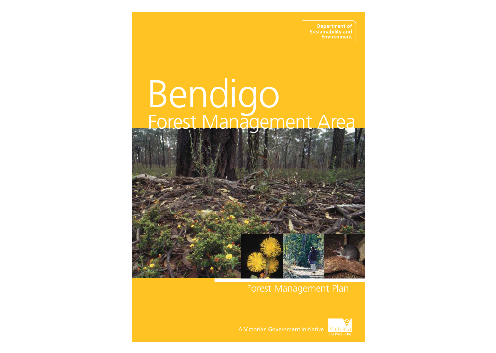 Forest Management Area