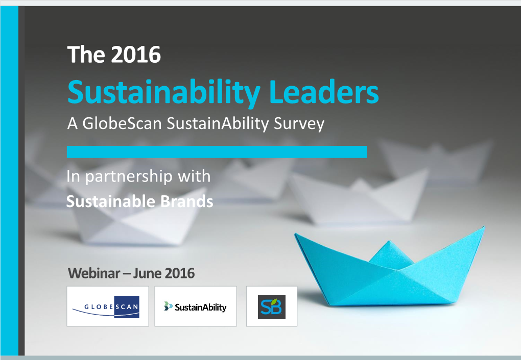 Sustainability Leaders a Globescan Sustainability Survey