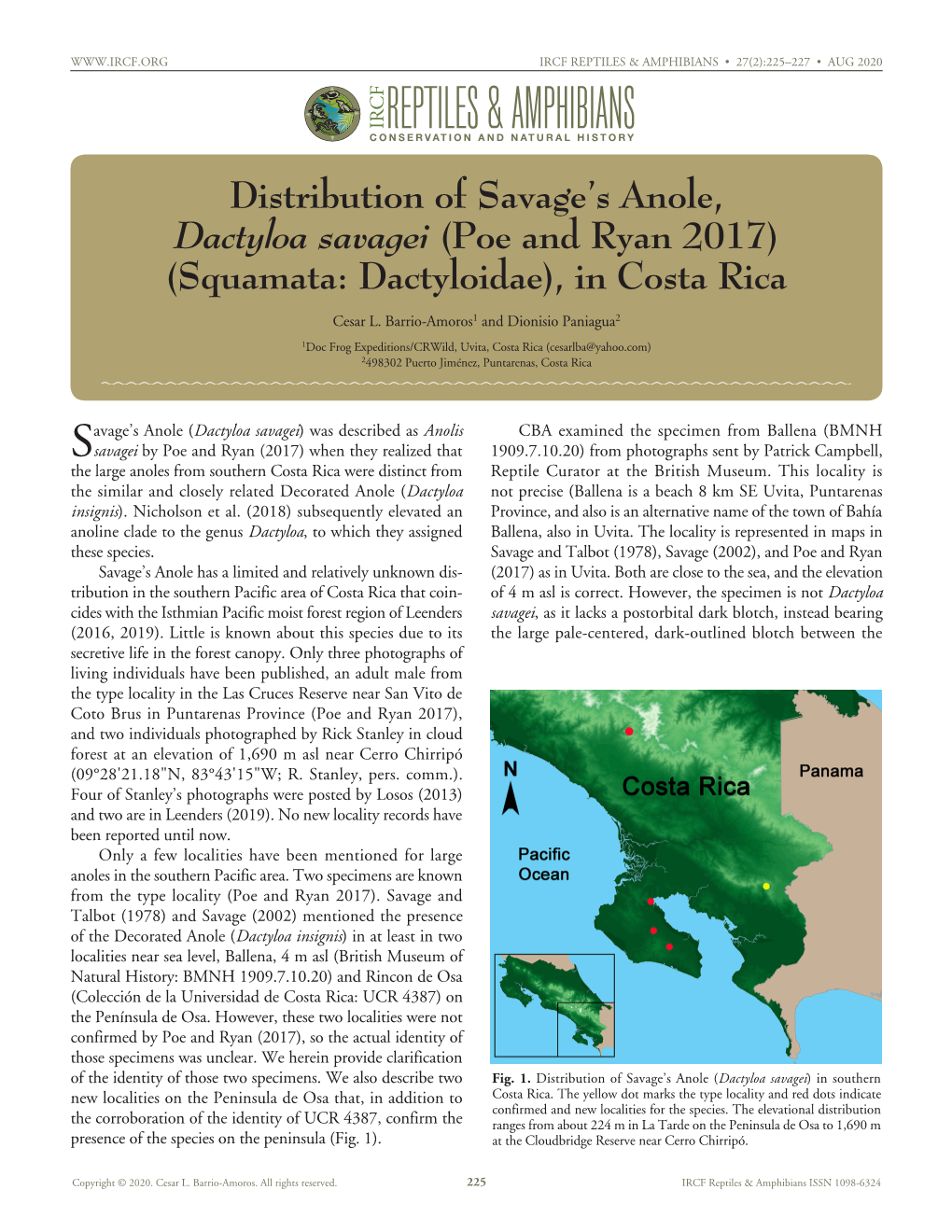 Dactyloa Savagei) Was Described As Anolis CBA Examined the Specimen from Ballena (BMNH Ssavagei by Poe And