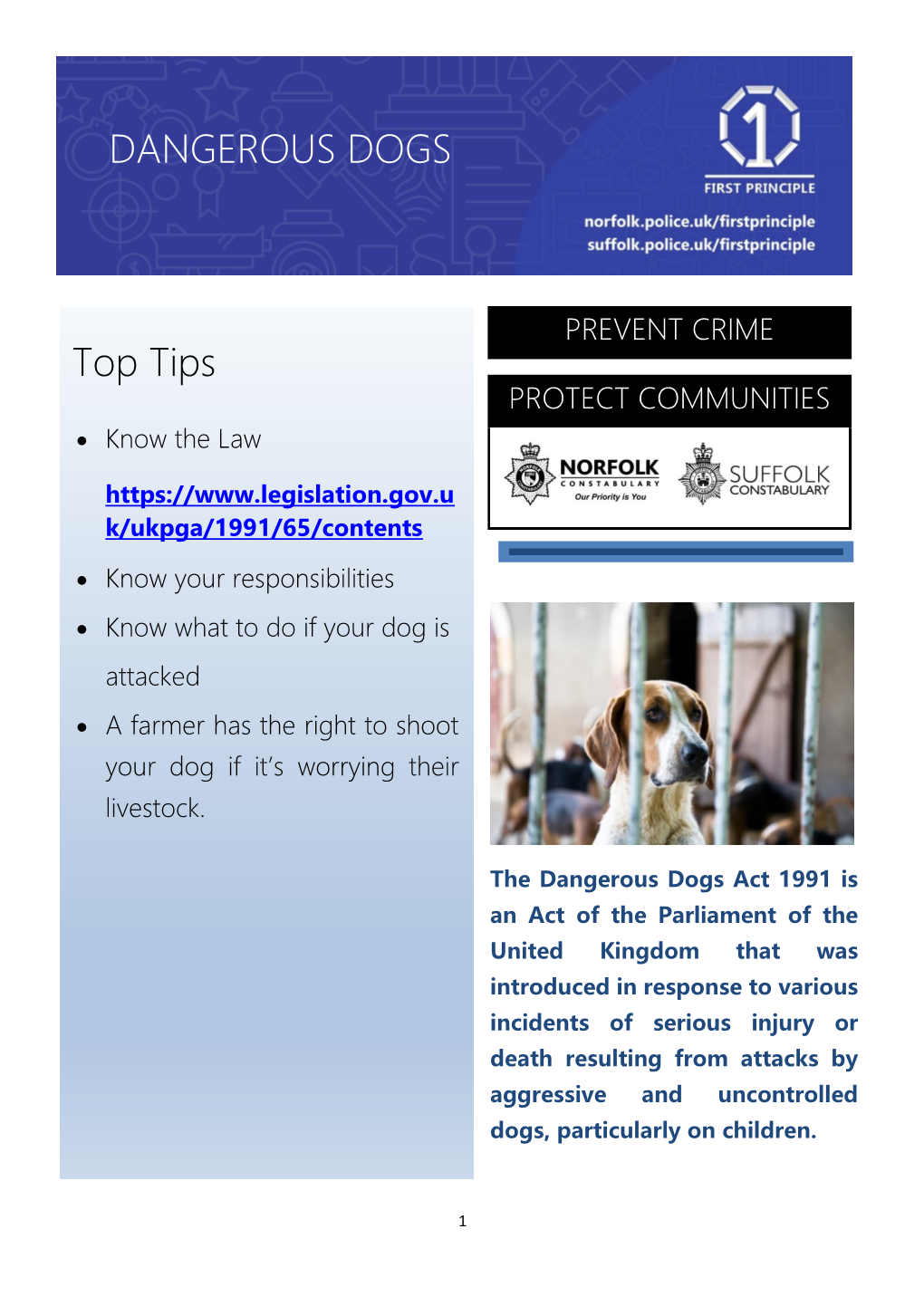 DANGEROUS DOGS Top Tips