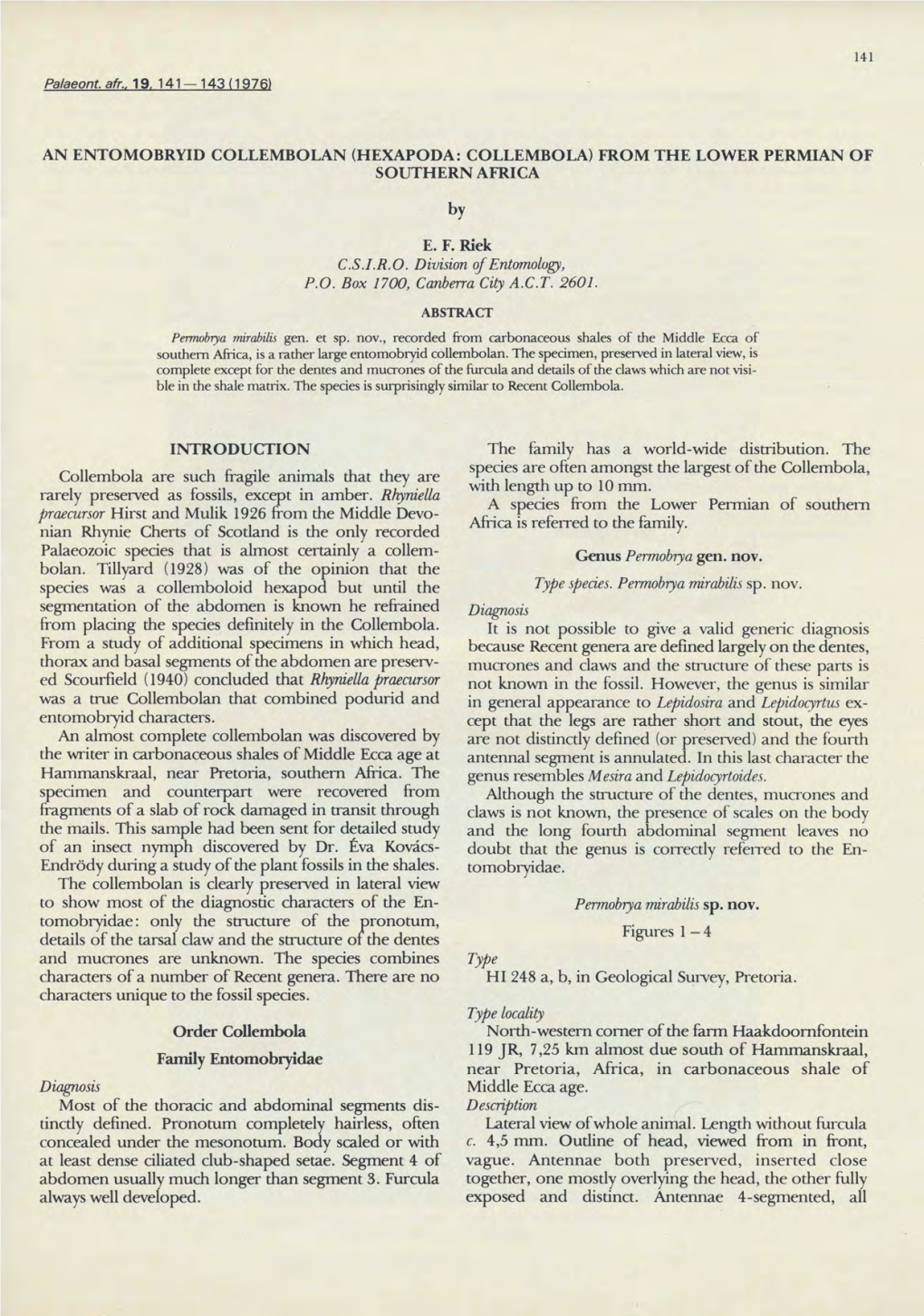 AN ENTOMOBRYID COLLEMBOLAN (HEXAPODA: COLLEMBOLA) from the LOWER PERMIAN of SOUTHERN AFRICA by E. F. Riek C.S.L.R.O. Division Of