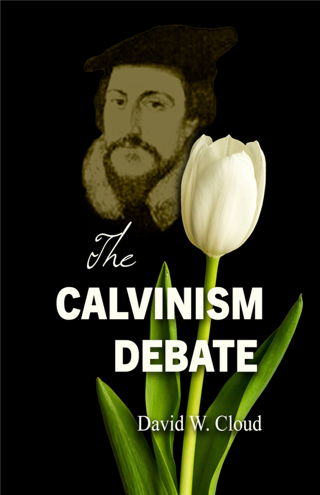 Calvinism Debate Copyright 2006 by David W