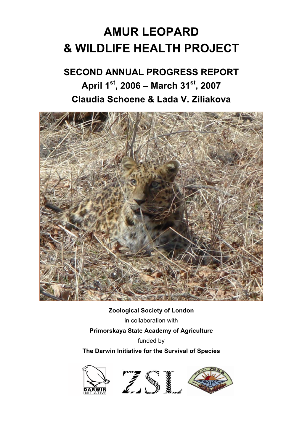 Amur Leopard & Wildlife Health
