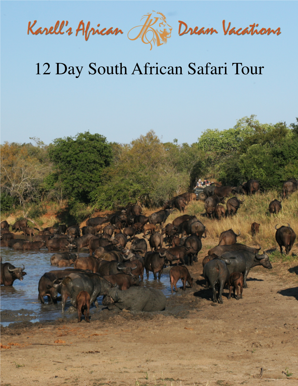 12 Day South African Safari Tour 12 Day South African Safari Tour Classic South African Vista