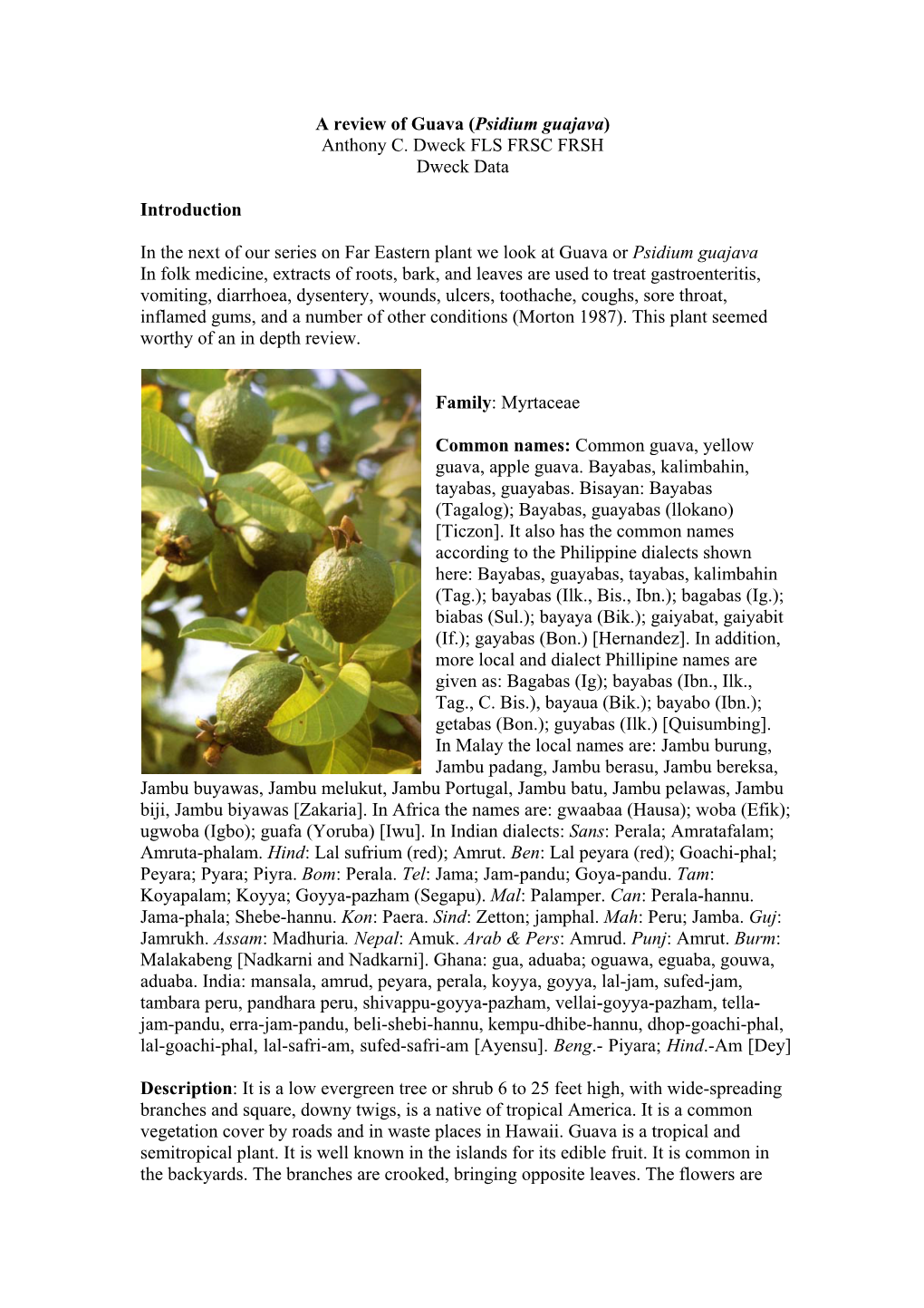 A Review of Guava (Psidium Guajava) Anthony C