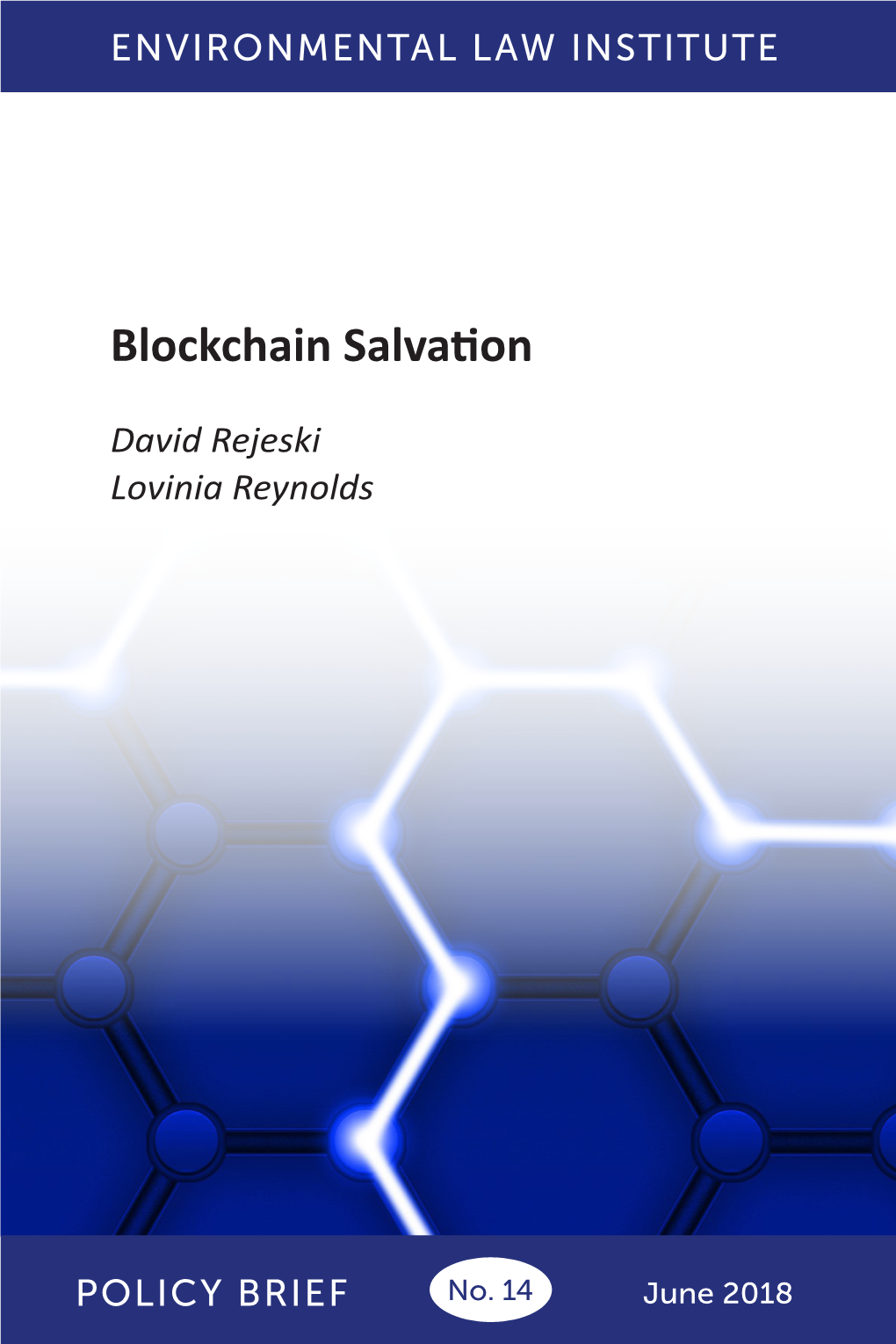 Blockchain Salvation