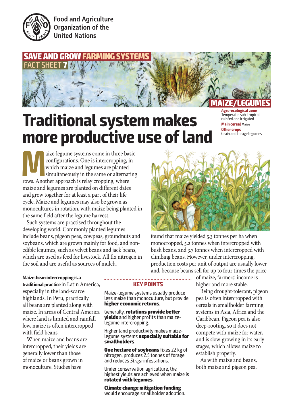 Maize/Legumes: Traditional System Makes More Productive Use of Land