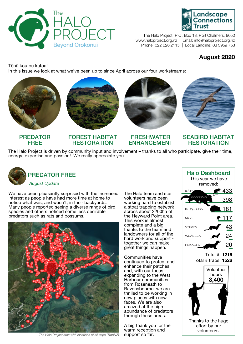 August 2020 Tēnā Koutou Katoa! in This Issue We Look at What We’Ve Been up to Since April Across Our Four Workstreams