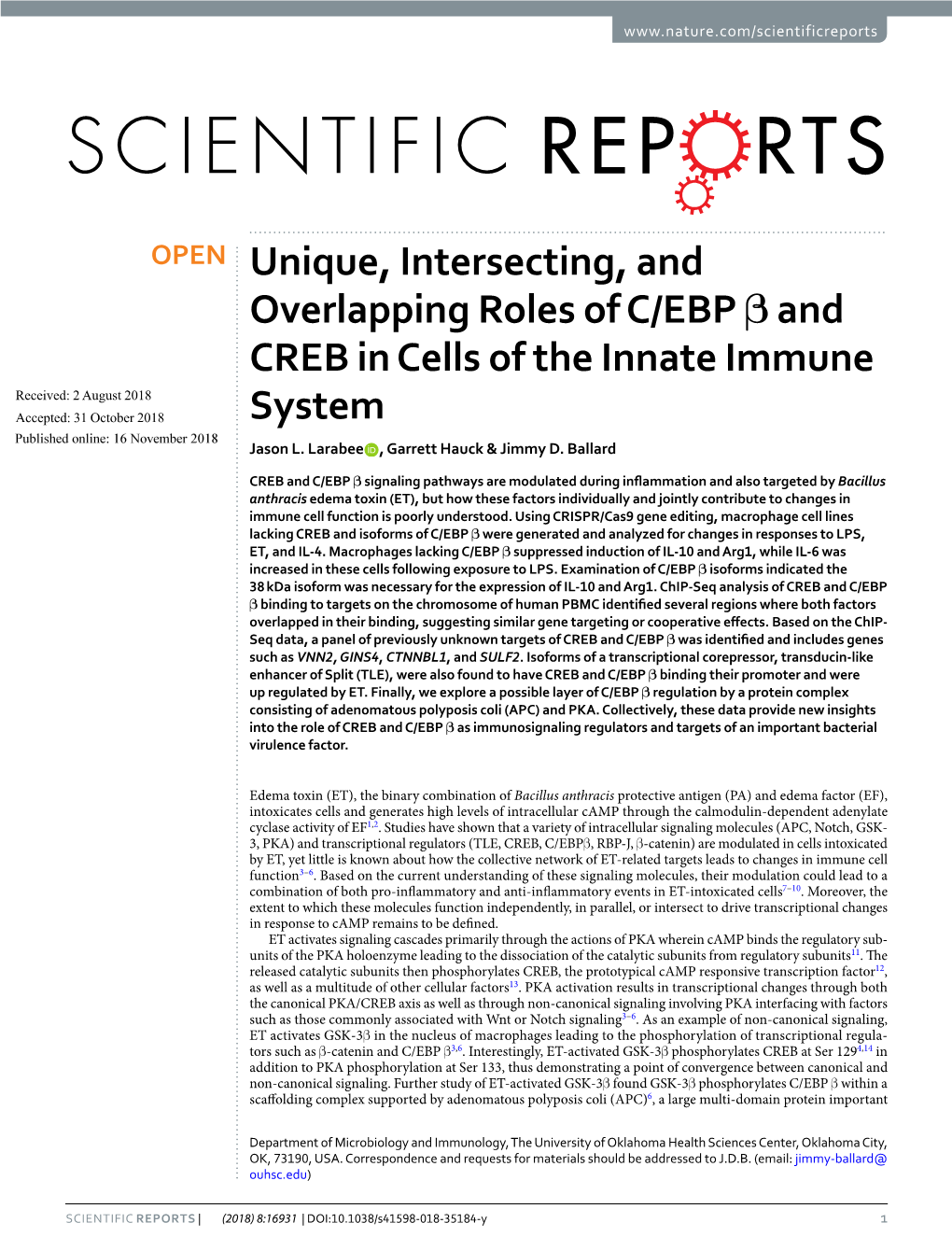 Unique, Intersecting, and Overlapping Roles of C/EBP Β and CREB In