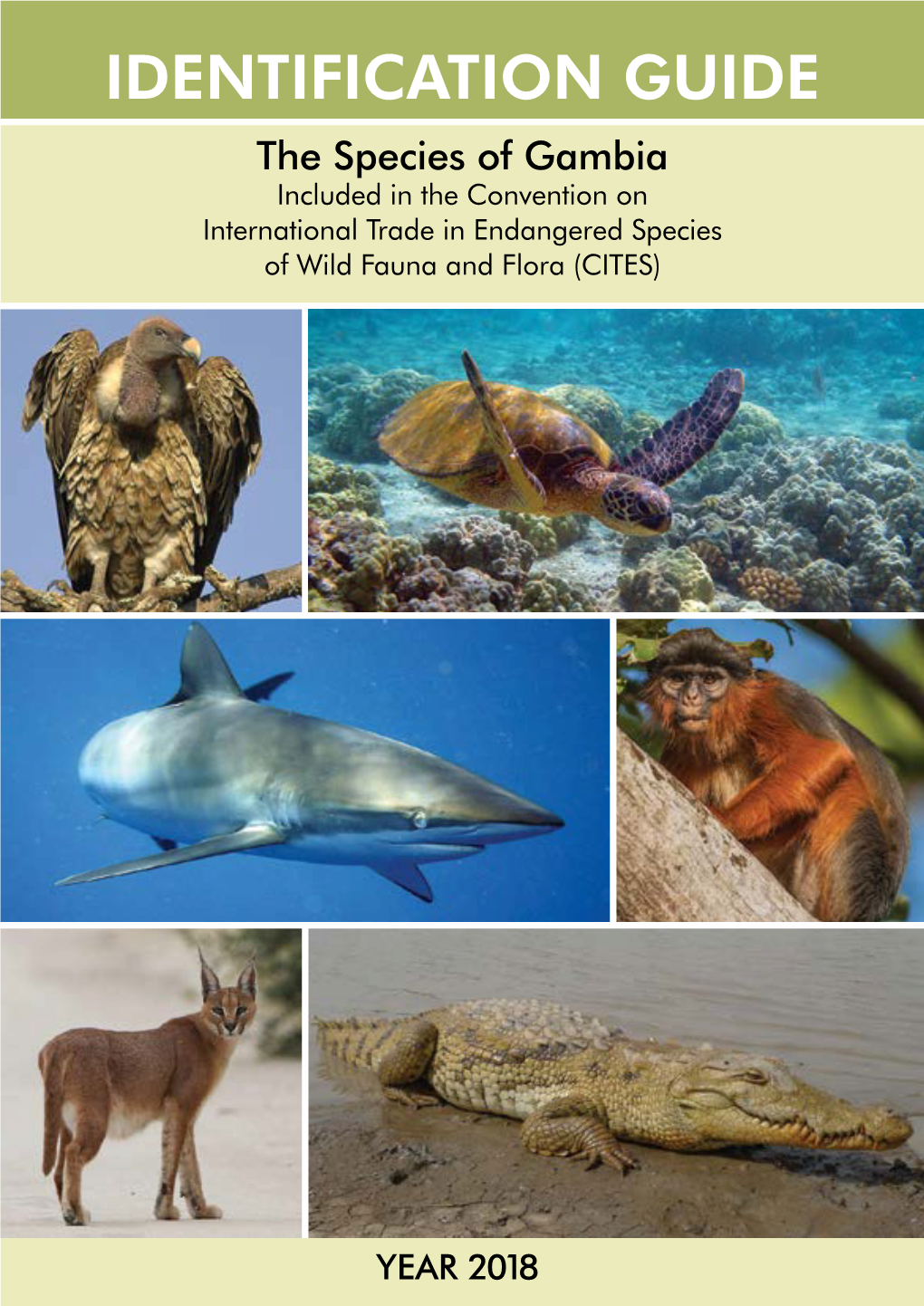 IDENTIFICATION GUIDE the Species of Gambia Included in the Convention on International Trade in Endangered Species of Wild Fauna and Flora (CITES)