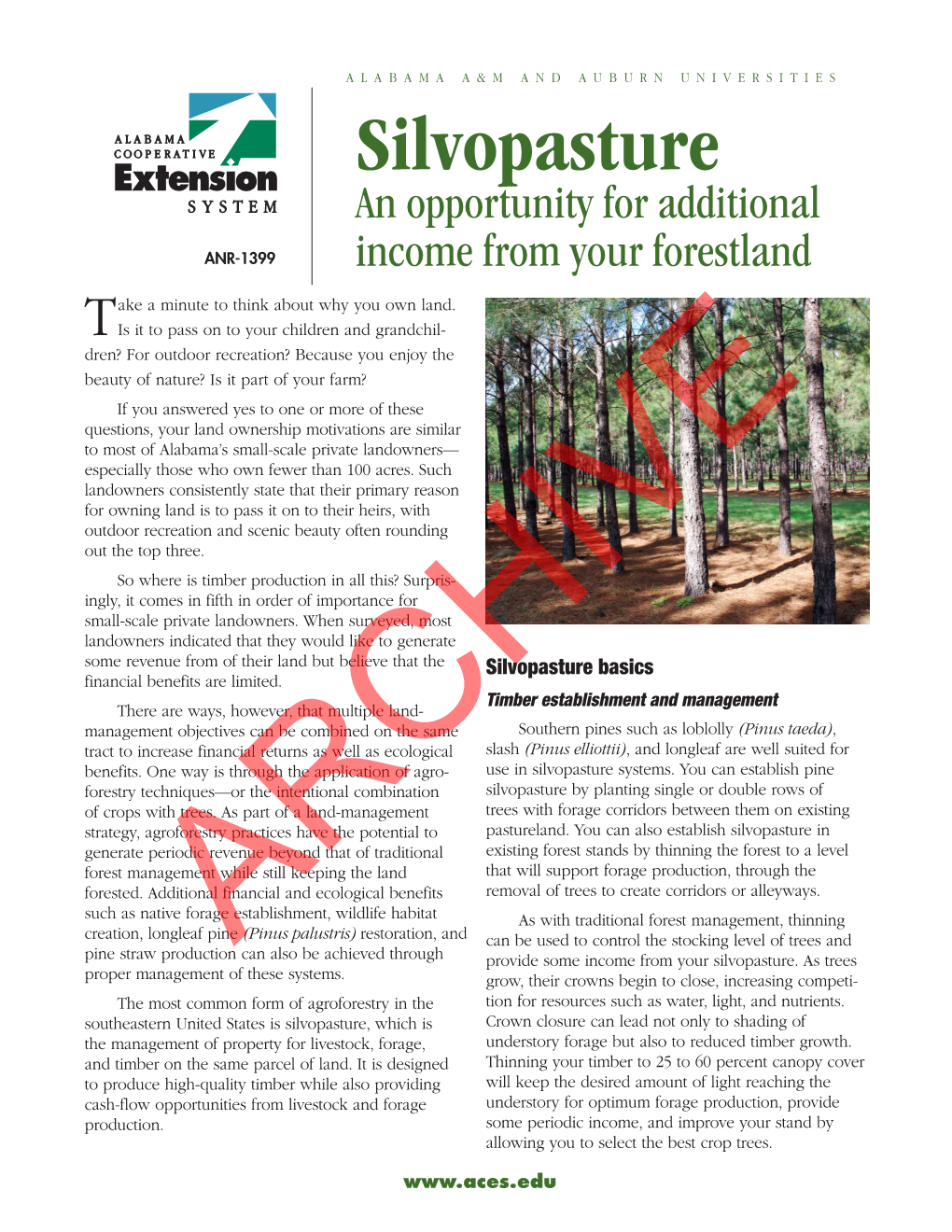 Silvopasture an Opportunity for Additional ANR-1399 Income from Your Forestland