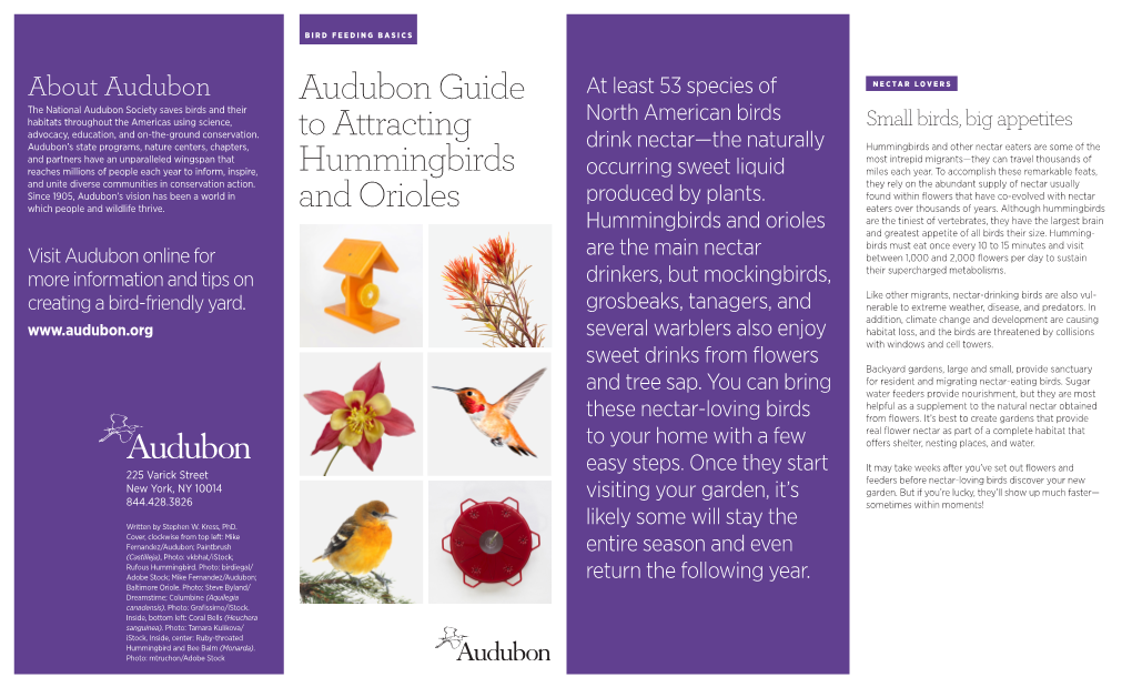 Audubon Guide to Attracting Hummingbirds and Orioles